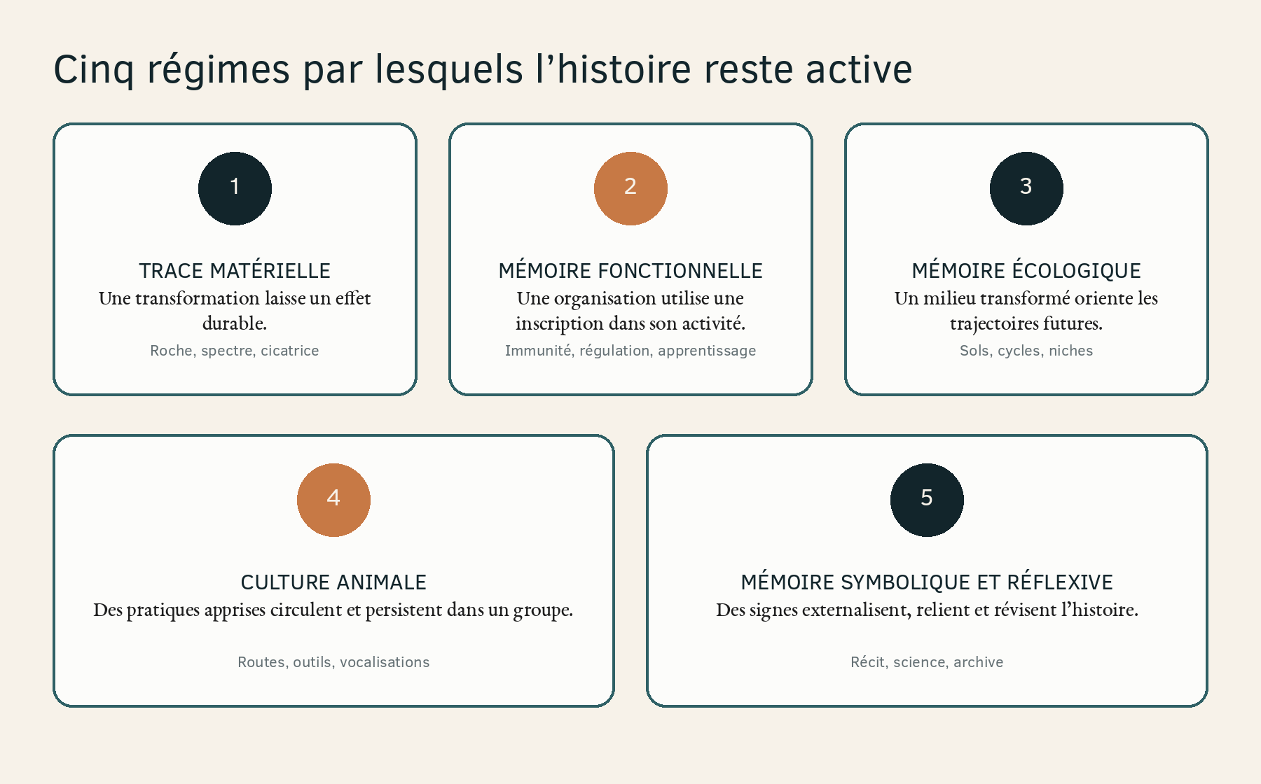 Illustration de l’article